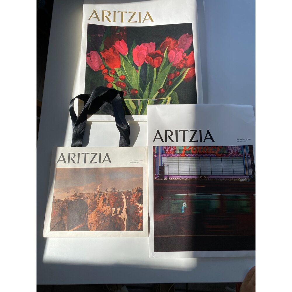 Set of 3 Aritzia Art Shopping Bags